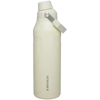 Stanley IceFlow Aerolight Bottle (16 oz) - Bear Hugs
