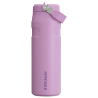 Stanley IceFlow Flip Straw 2.0 Water Bottle (16 oz) - Bear Hugs