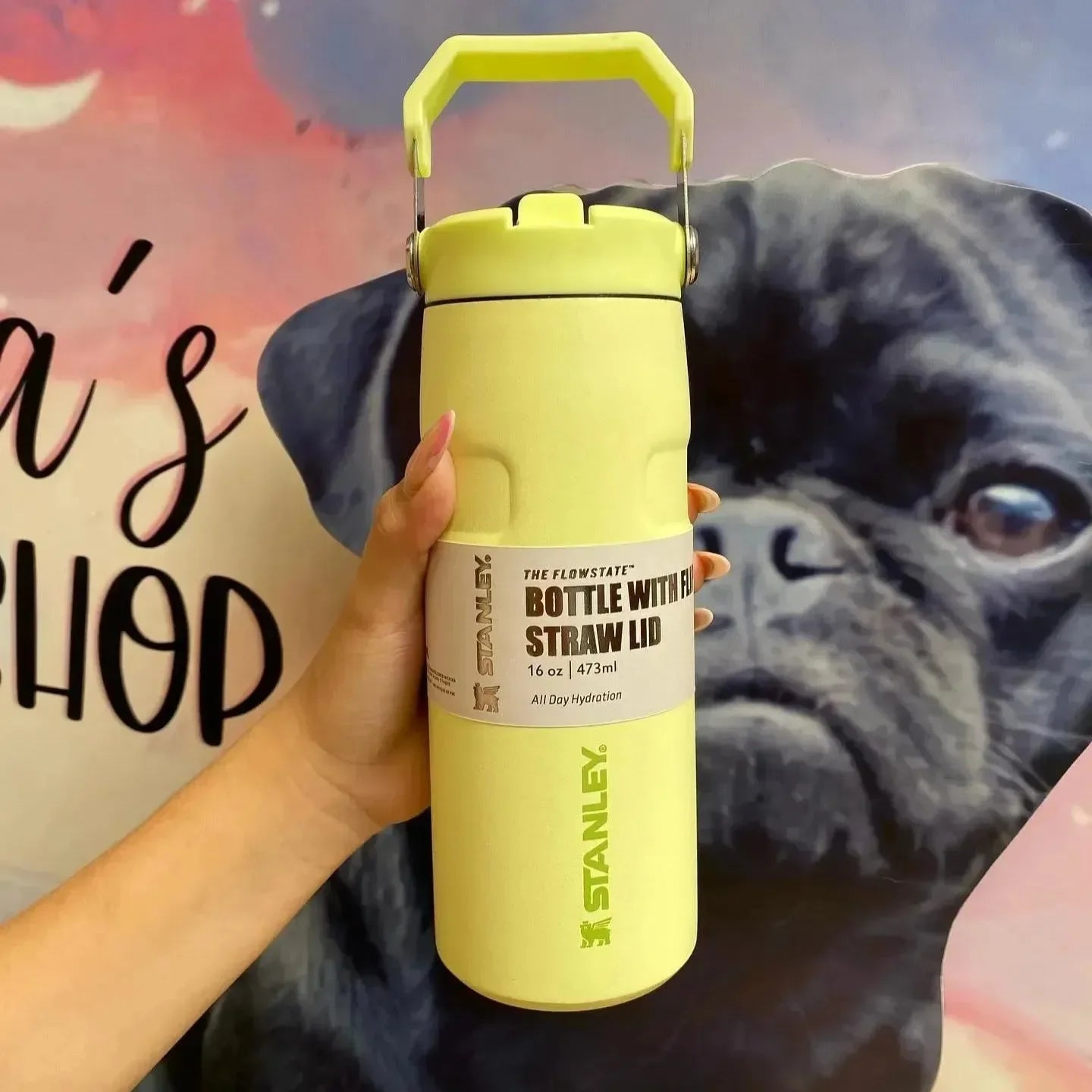 Stanley IceFlow Flip Straw 2.0 Water Bottle (16 oz) - Bear Hugs