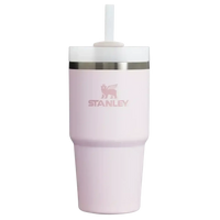 Stanley Quencher H2.0 Stainless Steel Vacuum Insulated Tumbler (20 oz) - Bear Hugs