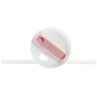 Stanley Quencher H2.0 Stainless Steel Vacuum Insulated Tumbler (20 oz) - Bear Hugs