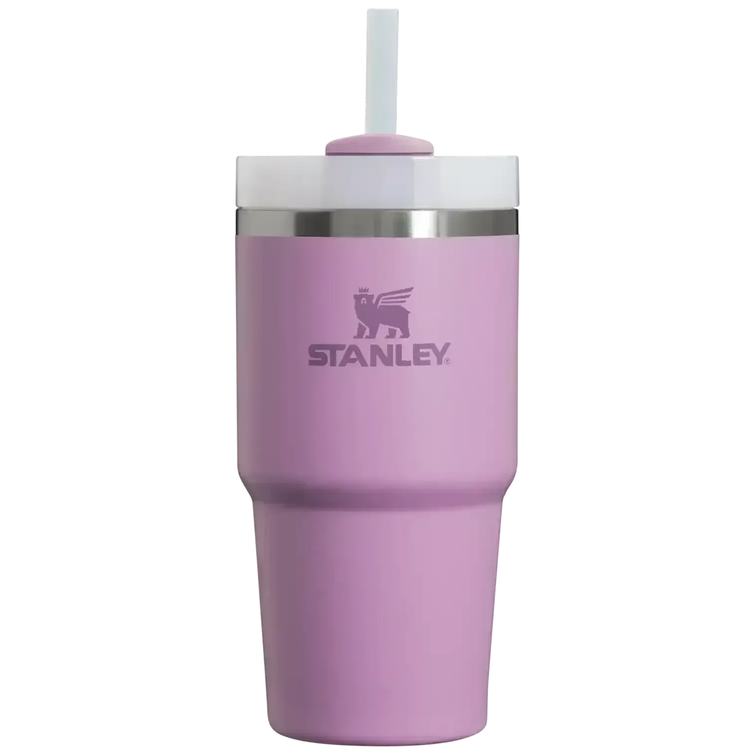 Stanley Quencher H2.0 Stainless Steel Vacuum Insulated Tumbler (20 oz) - Bear Hugs