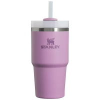 Stanley Quencher H2.0 Stainless Steel Vacuum Insulated Tumbler (20 oz) - Bear Hugs