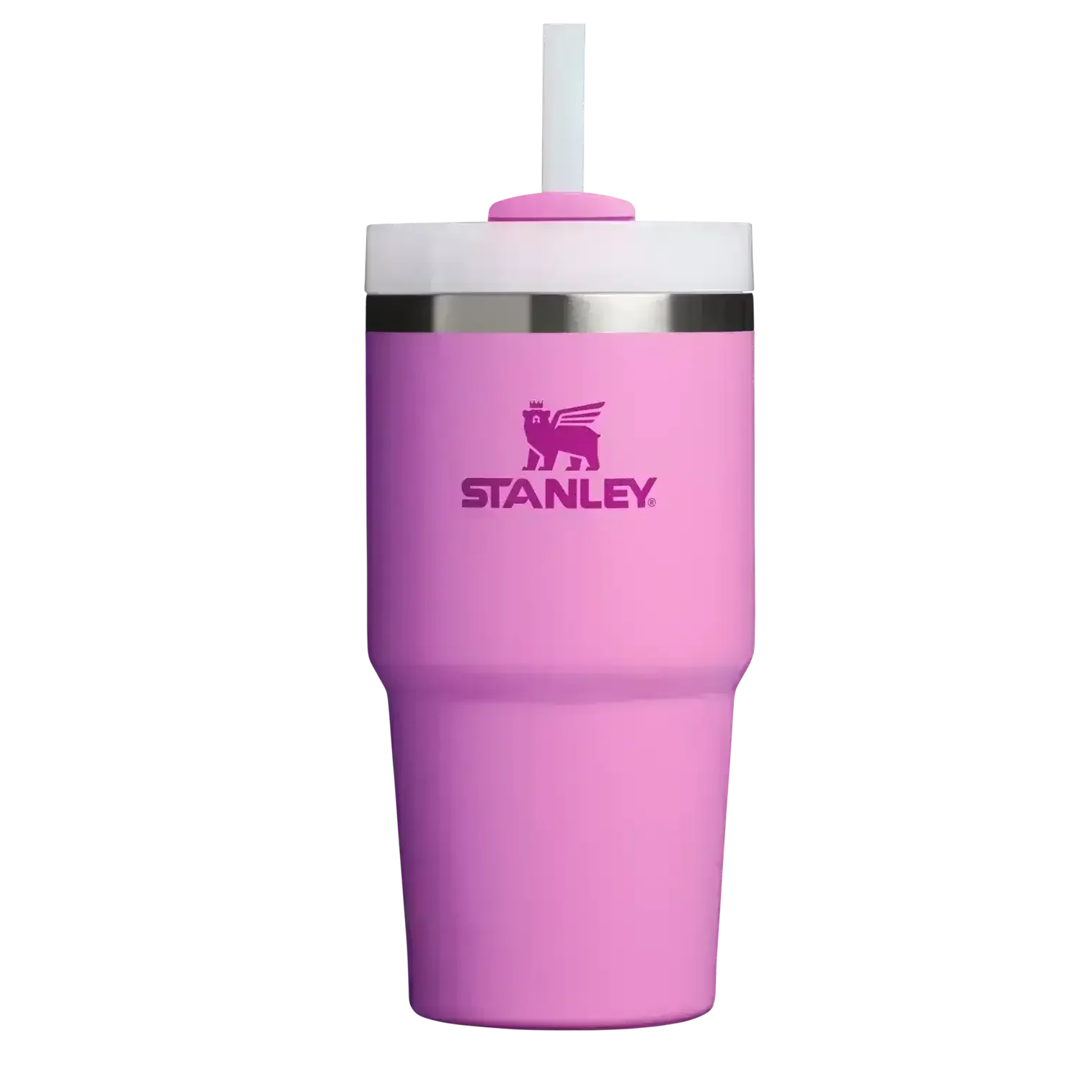 Stanley Quencher H2.0 Stainless Steel Vacuum Insulated Tumbler (20 oz) - Bear Hugs