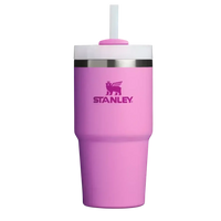 Stanley Quencher H2.0 Stainless Steel Vacuum Insulated Tumbler (20 oz) - Bear Hugs