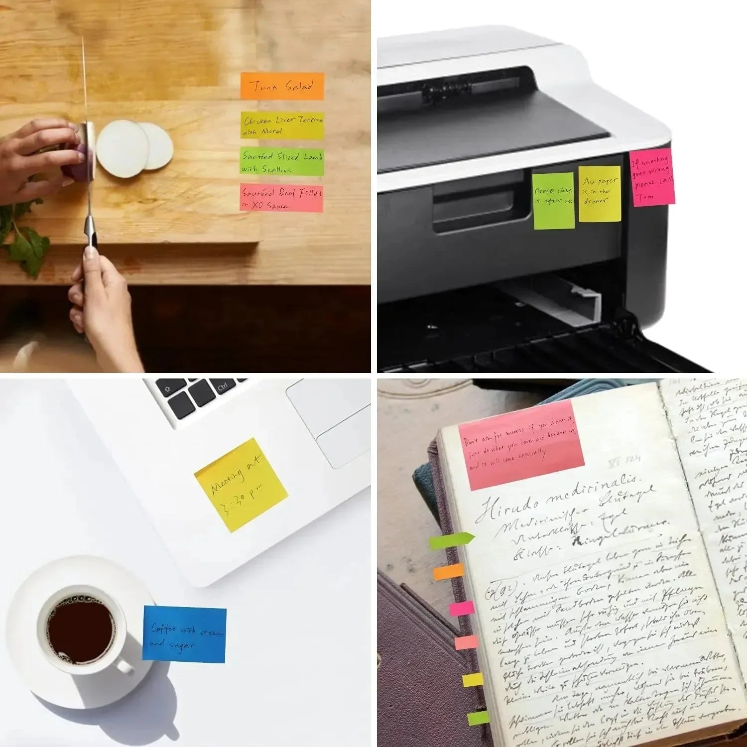 Sticky Notes for Students (375 Sheets) - Bear Hugs