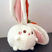 Veggie Transforming Rabbit and Pig Plush Toy - Bear Hugs