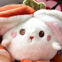 Veggie Transforming Rabbit and Pig Plush Toy - Bear Hugs