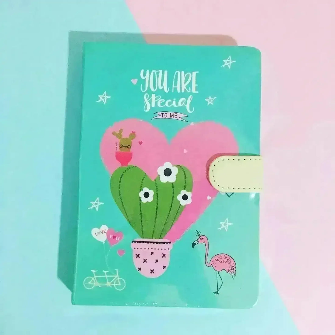 You Are Special Motivational Gift A6 Diary with Magnetic Clasp - Bear Hugs