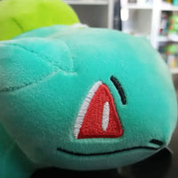 بلباسور بلوم بلاشي (35 سم) 