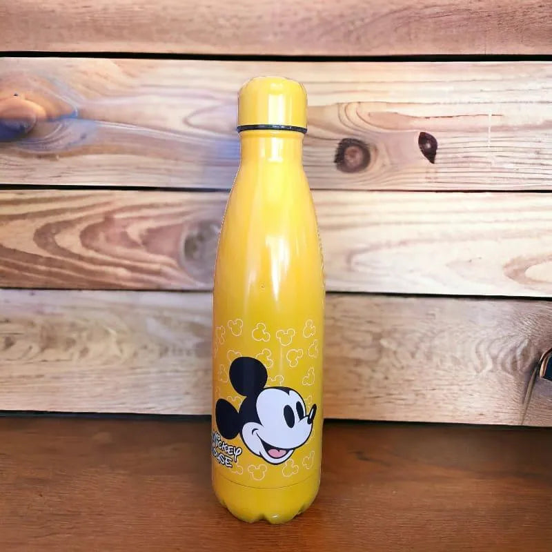 Character Cola Metal Water Bottle (500 ml) - Bear Hugs