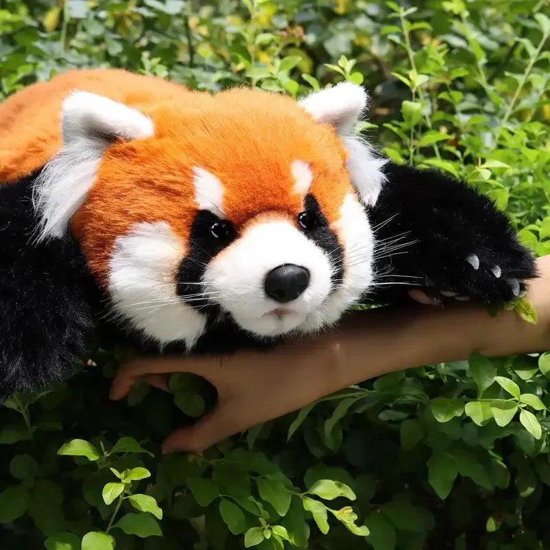 Chongker Realistic Red Panda Plush - Bear Hugs