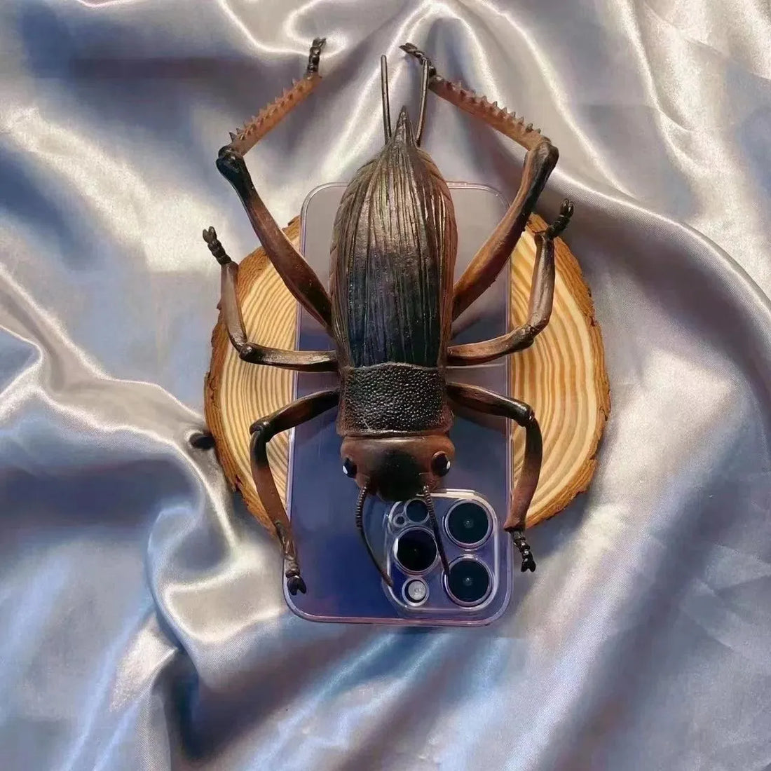 Creepy Cockroach Phone Case (For iPhones) - Bear Hugs