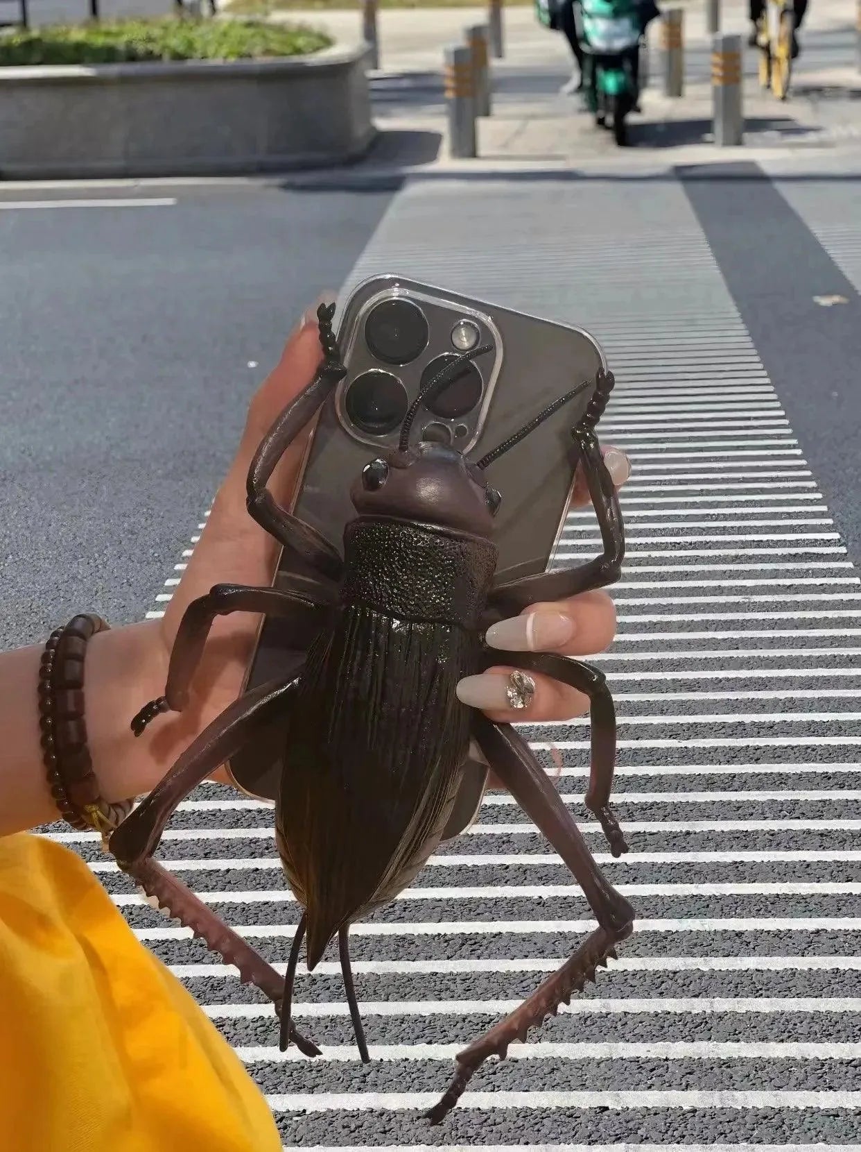 Creepy Cockroach Phone Case (For iPhones) - Bear Hugs