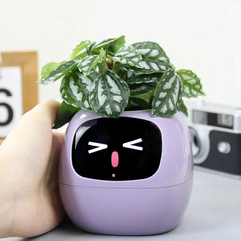 Cute Emoji Plant Pot - Bear Hugs