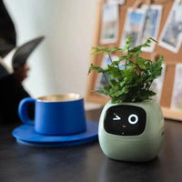 Cute Emoji Plant Pot - Bear Hugs