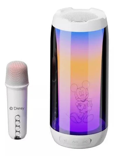 Disney NBY Voice Activated Wireless Microphone Karaoke Speaker - Bear Hugs