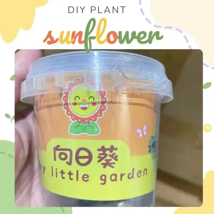 My Little Garden DIY Indoor Plant Kit