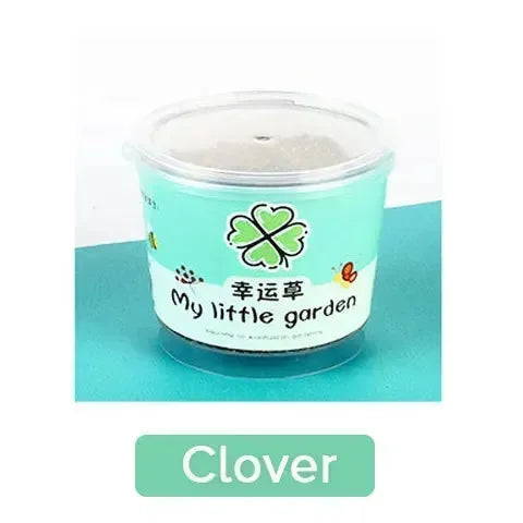 My Little Garden DIY Indoor Plant Kit