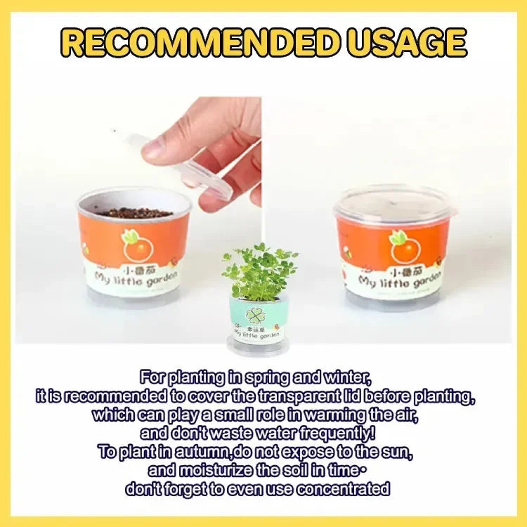 My Little Garden DIY Indoor Plant Kit