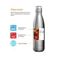 Feather Print Cola Metal Water Bottle (500 ml) - Bear Hugs