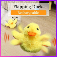 Flappy Duck Interactive Electric Cat Toy - Bear Hugs