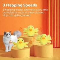 Flappy Duck Interactive Electric Cat Toy - Bear Hugs