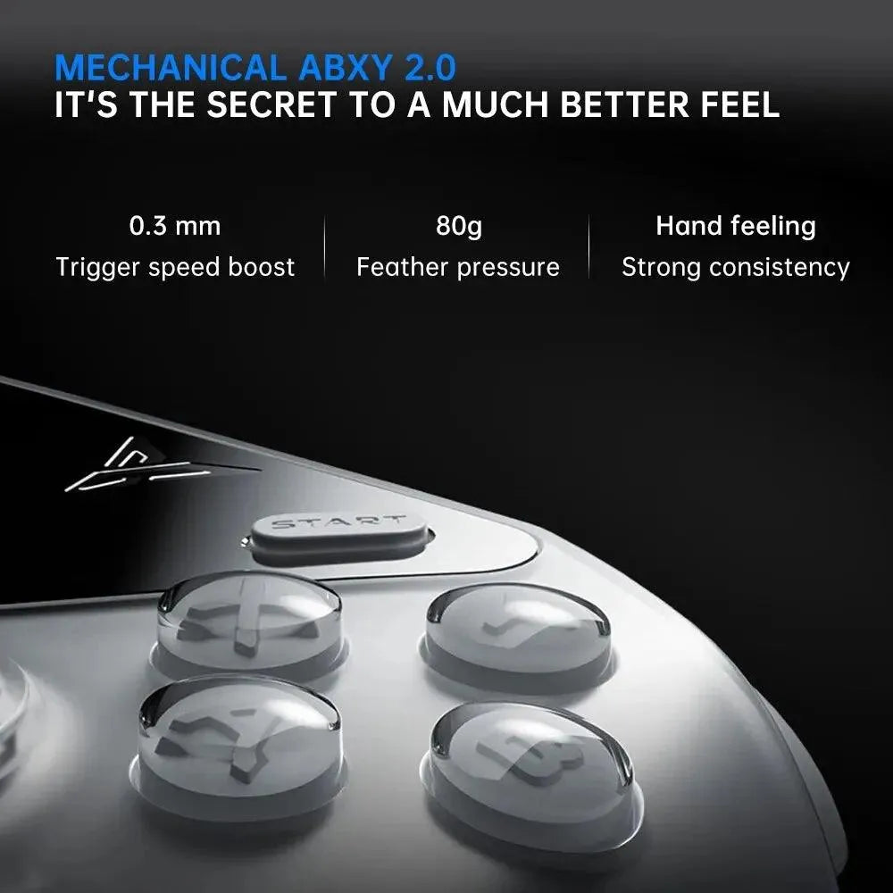 Flydigi APEX 4 Wireless Gaming Controller - Bear Hugs