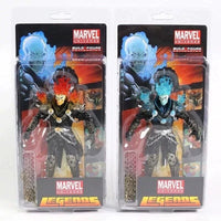 MRVL Legends Ghostrider Action Figure (18 cm)