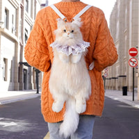 Bear Hugs Golden Maine Coon Cat Backpack