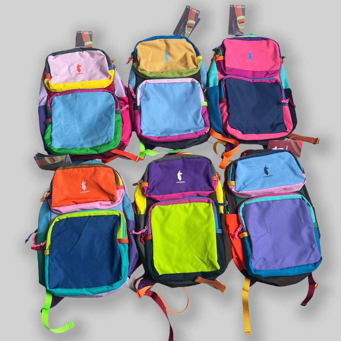 Cotopaxi Allpa Del Día Colorblock Travel Backpack