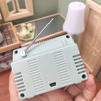The World's Smallest TV