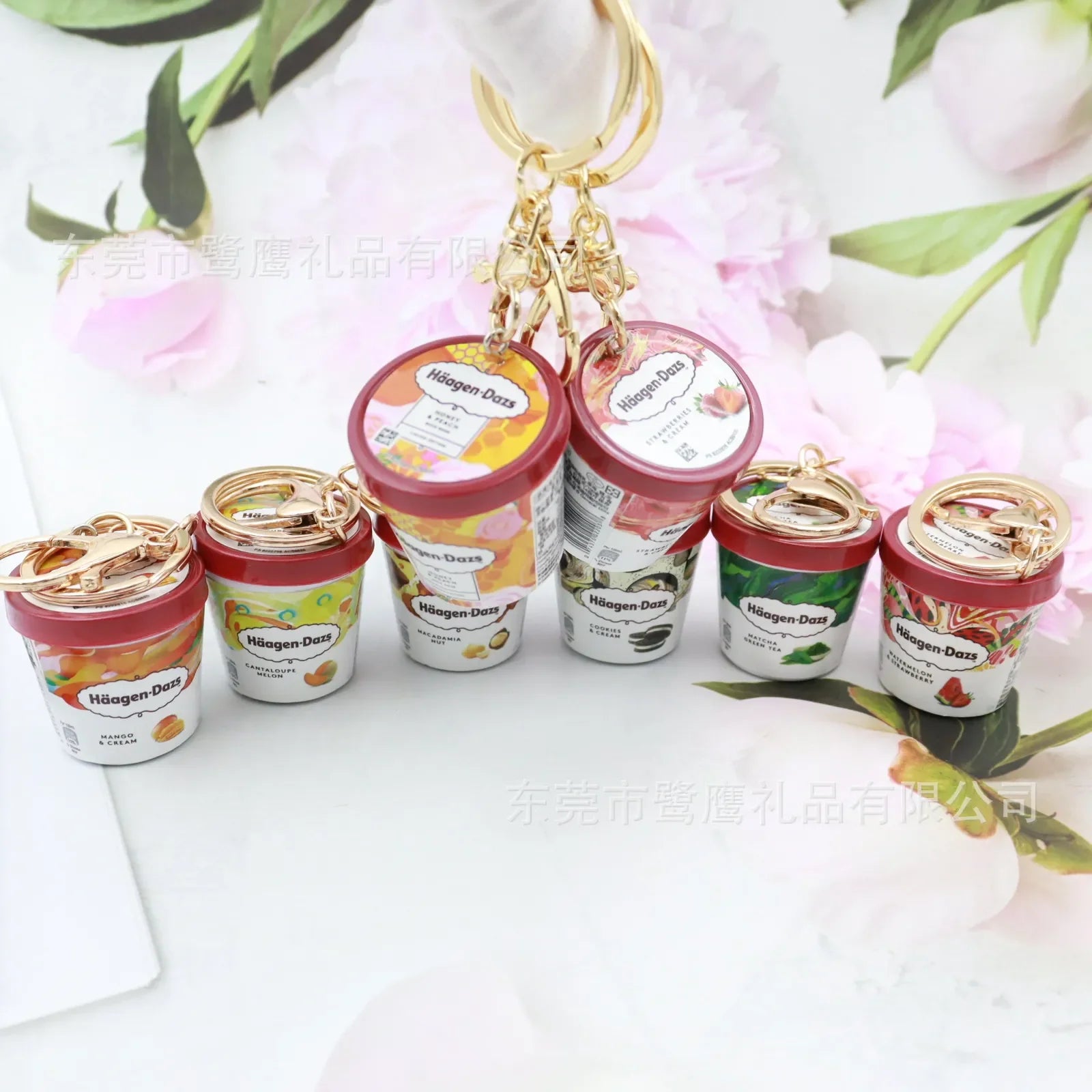 Haagen-Daazs Ice-Cream Delight Keychain