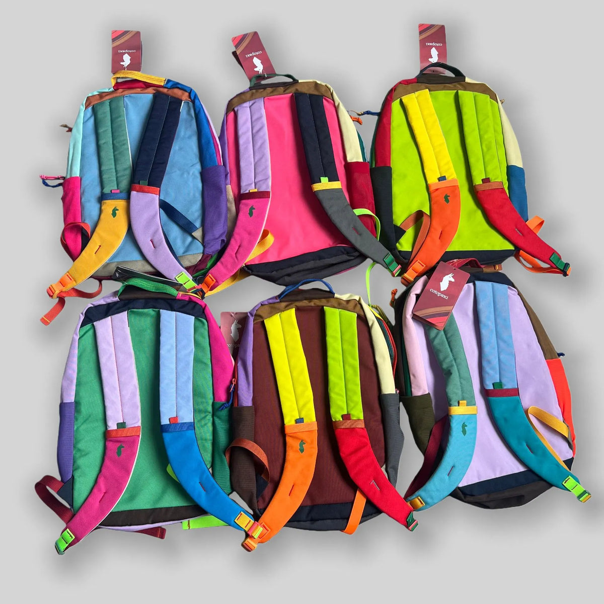 Cotopaxi Allpa Del Día Colorblock Travel Backpack