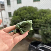Realistic Frog Squishy Toy