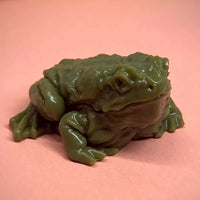 Realistic Frog Squishy Toy