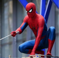 Spiderman Brand New Day Premium Costume