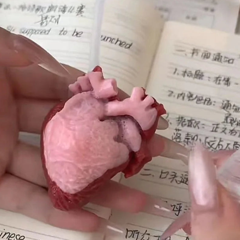 Realistic Heart-Shaped Squishy Toy