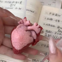 Realistic Heart-Shaped Squishy Toy