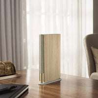 BnO Emerge Luxury Speaker