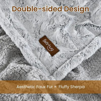 Velvet Warmth Dual-Control Heated Blanket