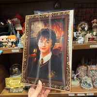 Harry Potter Golden Trio Picture Changing Notebook