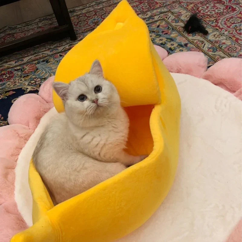 Going Bananas Cat House