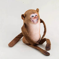 Viral Spoof Monkey Plush Companion (25 cm)