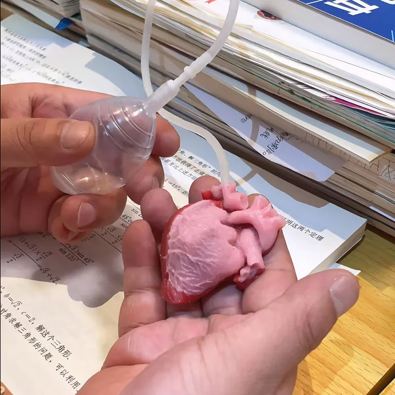 Realistic Heart-Shaped Squishy Toy