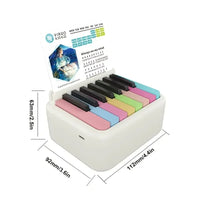 Zodiac Novelty Piano Calendar