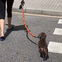 Frankfurter Link Novelty Sausage Pet Leash