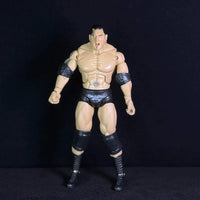 Attitude Era Wrestling Action Figures (14 cm)