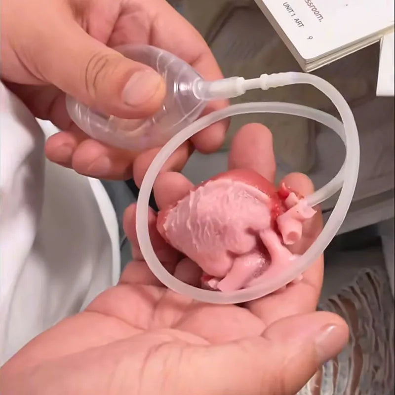 Realistic Heart-Shaped Squishy Toy