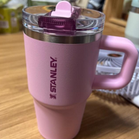 Stanley Quencher ProTour Flip Straw Tumbler (20 Oz)